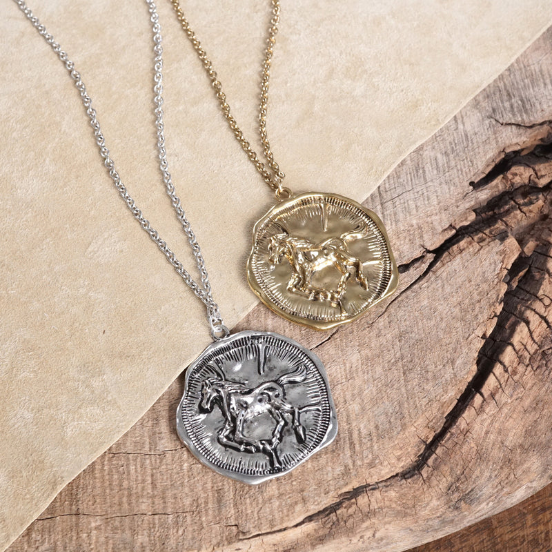 Equestrian Horse Coin Long Necklace Worn Gold or Silver